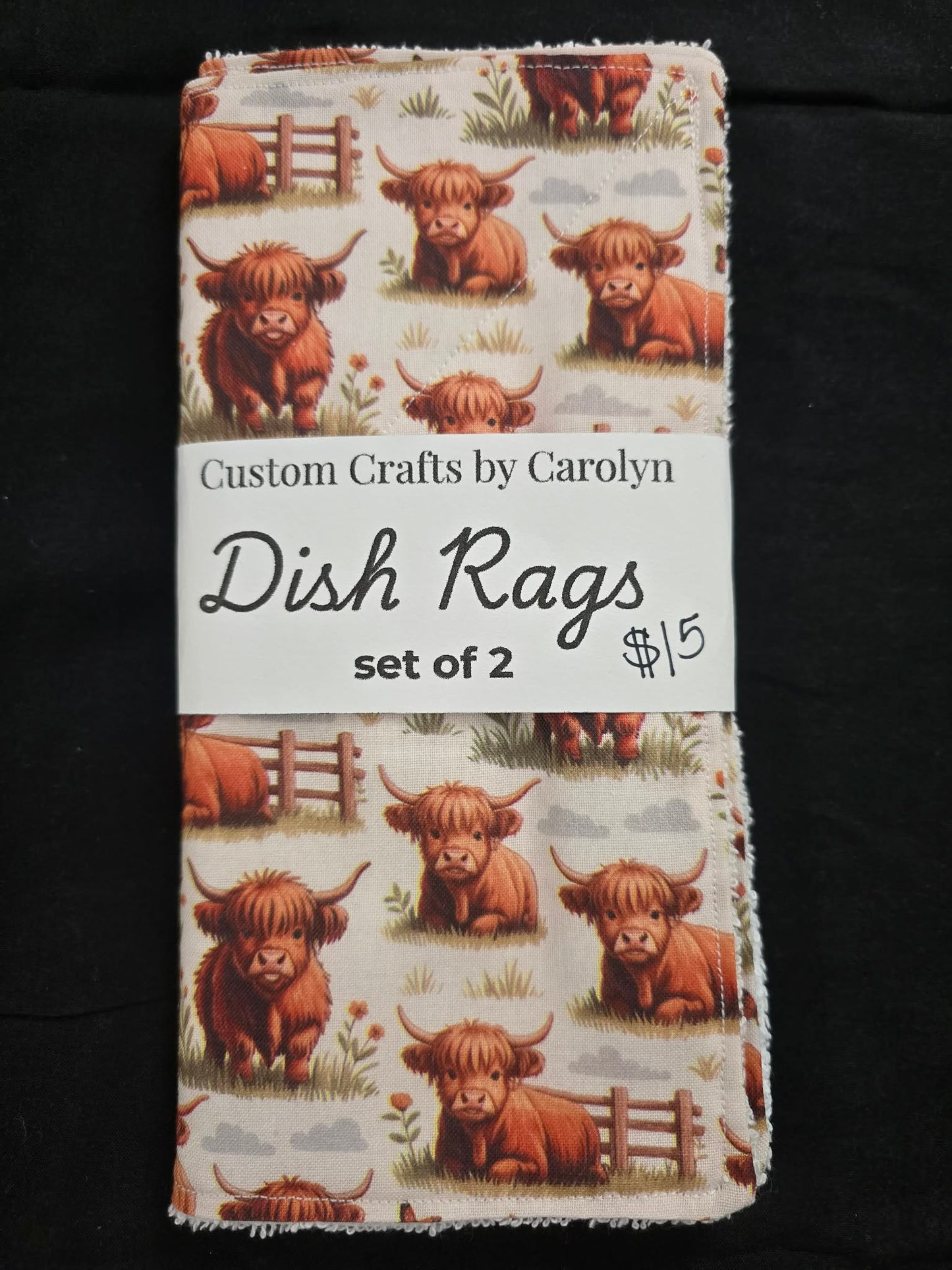 Dish Rags 2 Pk