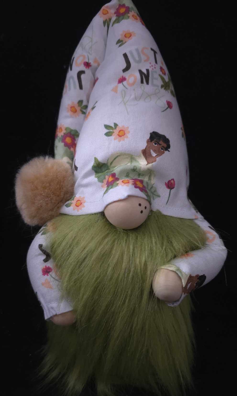 Princess & the Frog Gnome