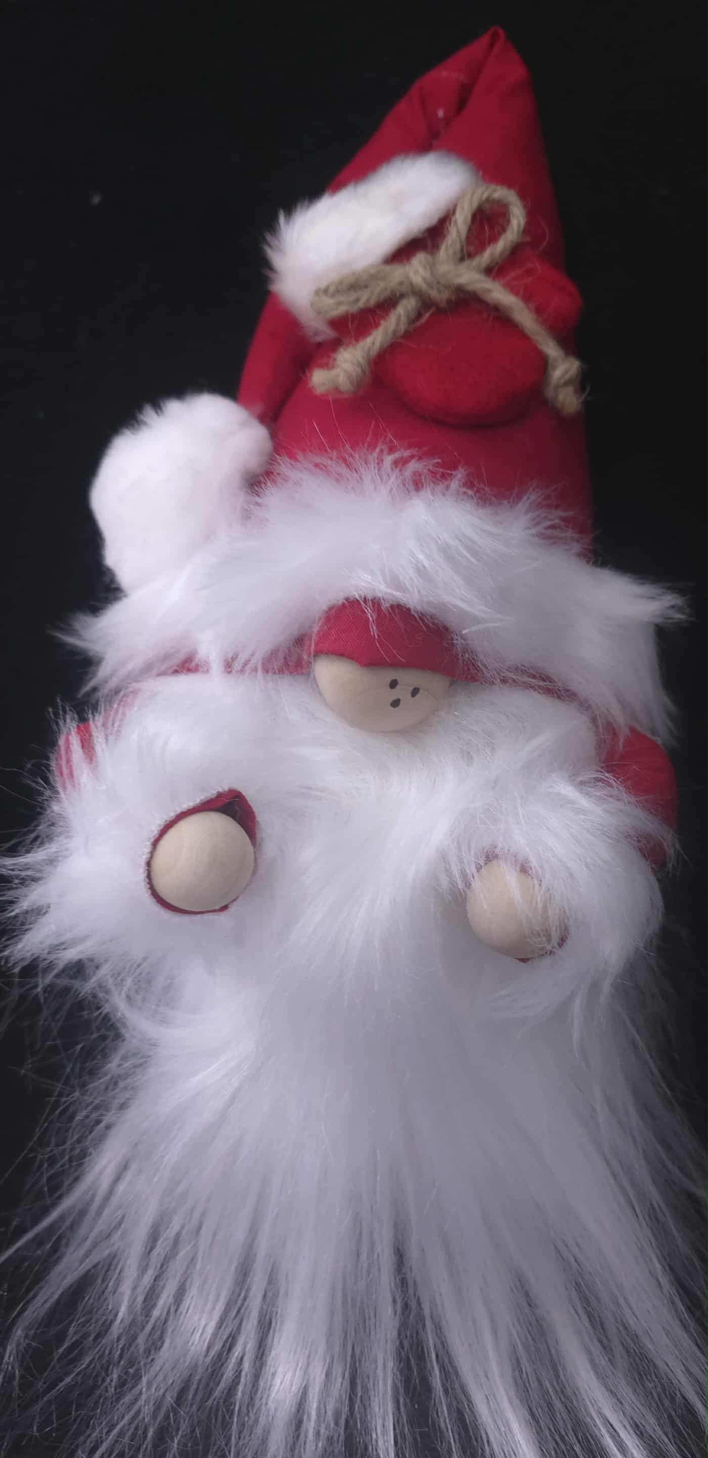 Mr Santa Claus Gnome