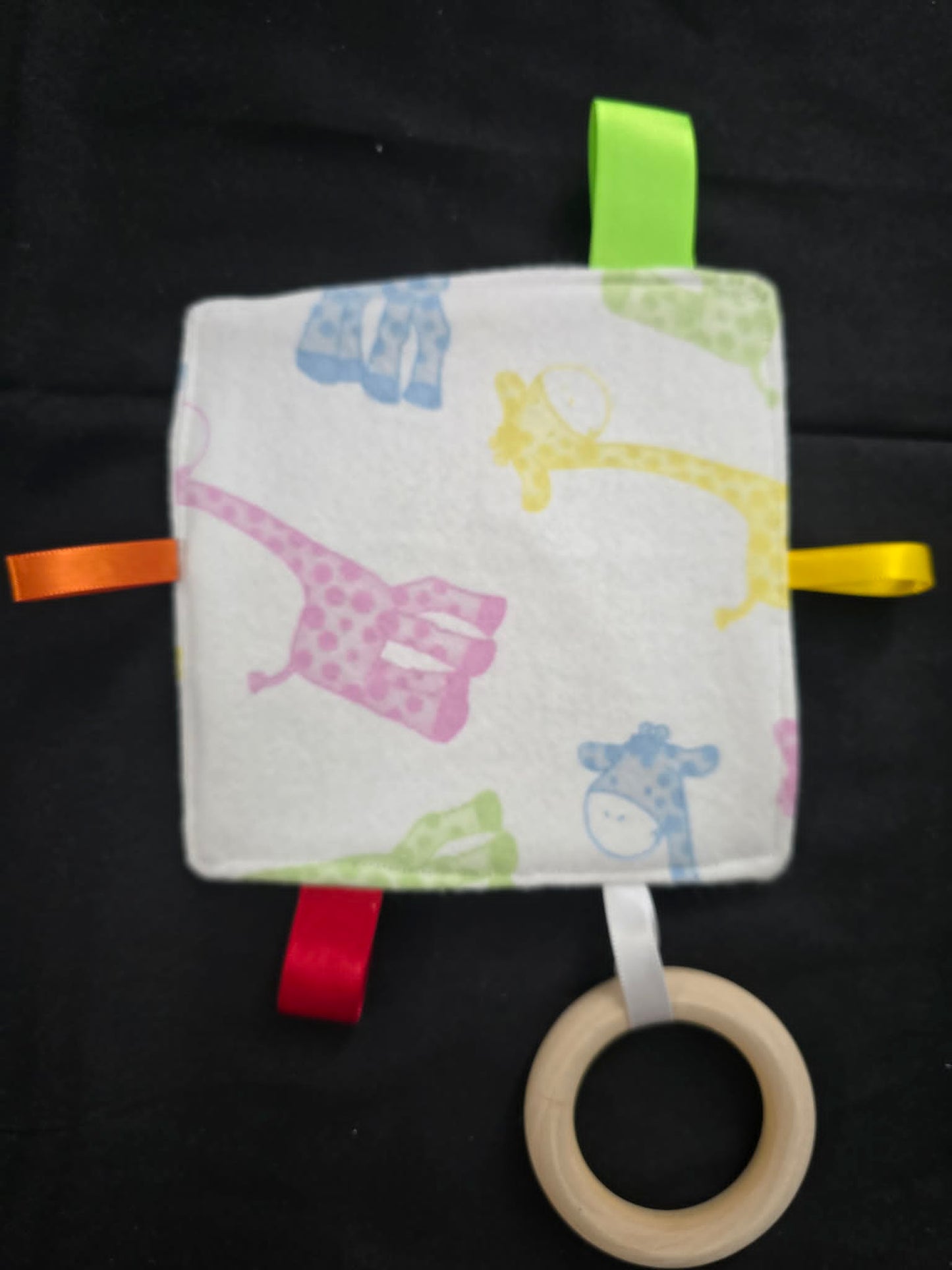 Baby Crinkle Sensory Toy w/Teether