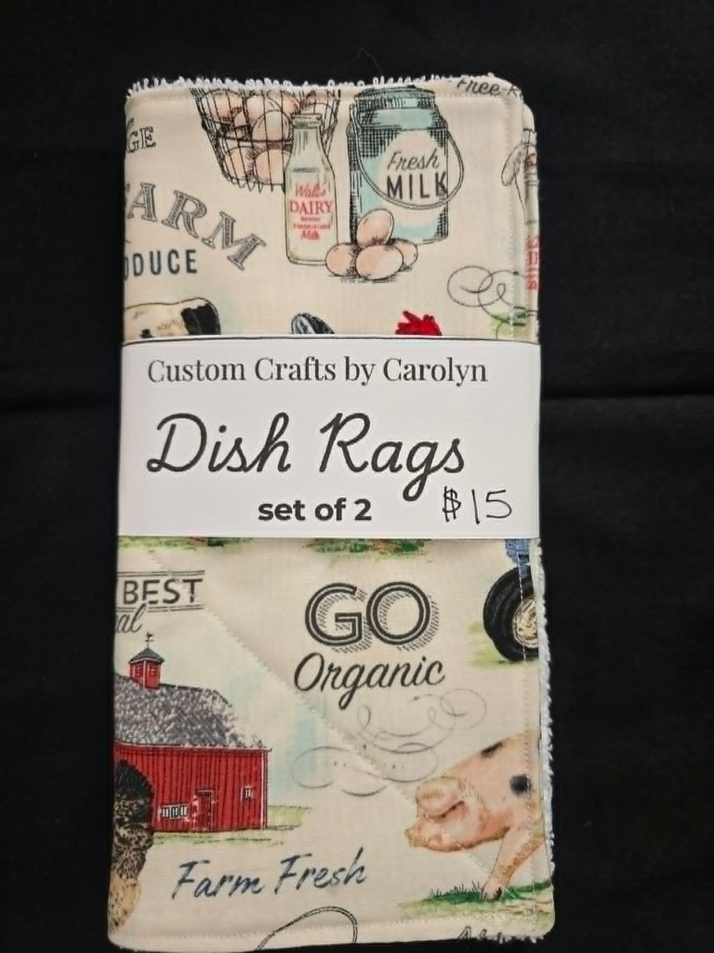 Dish Rags 2 Pk