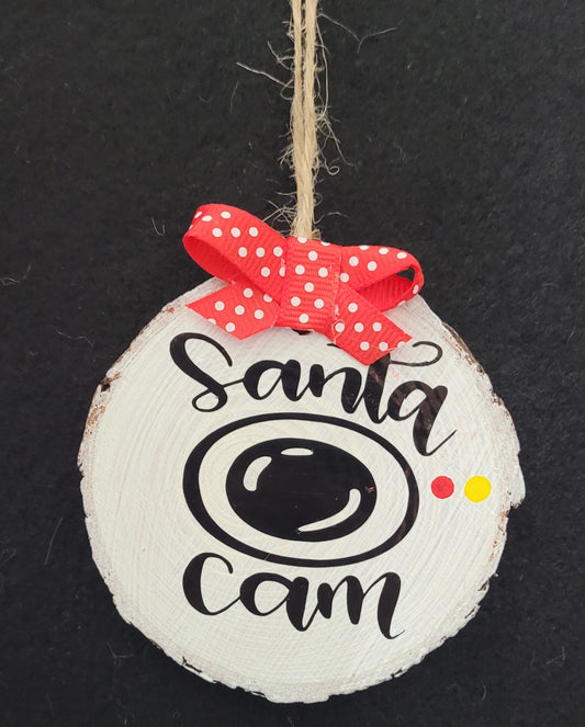 Santa Cam