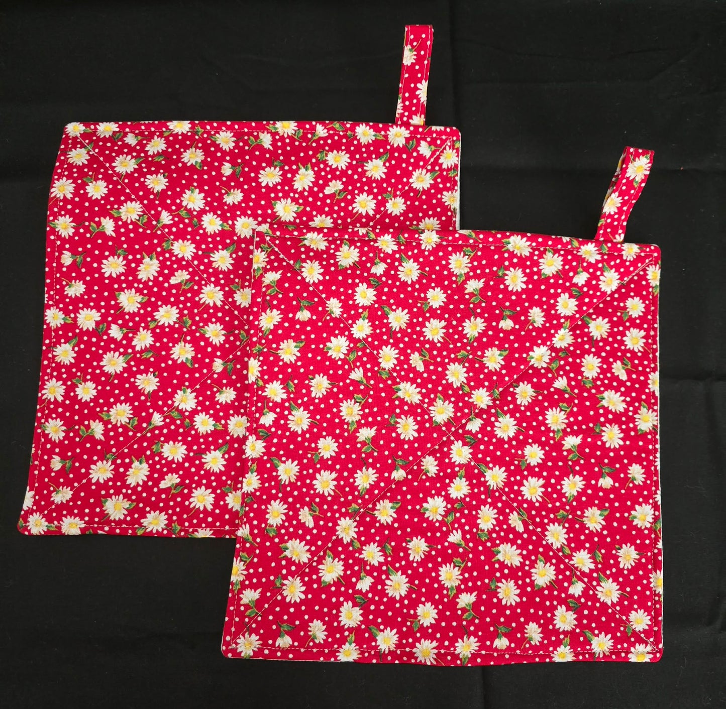 Red Daisy/White Flowers Pot Holders
