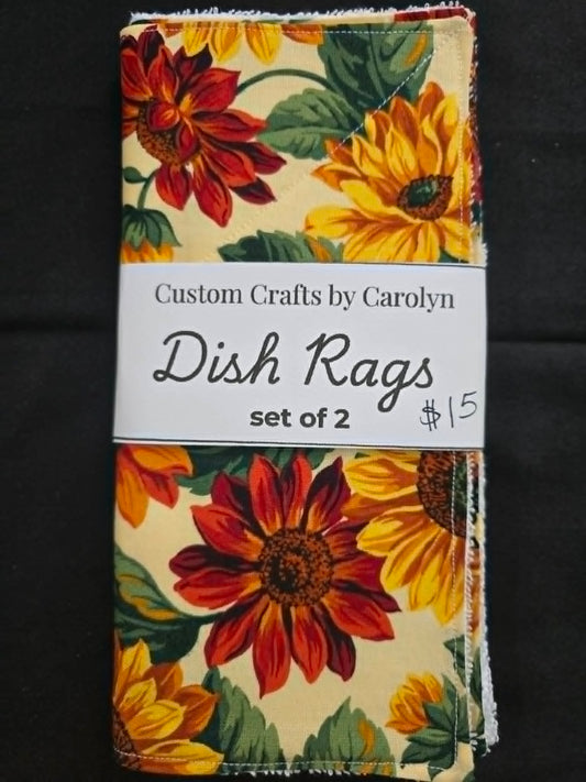 Dish Rags 2 Pk