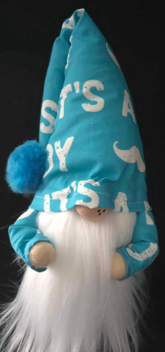 ITS A BOY Gnome