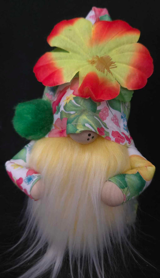 Hibiscus Gnome