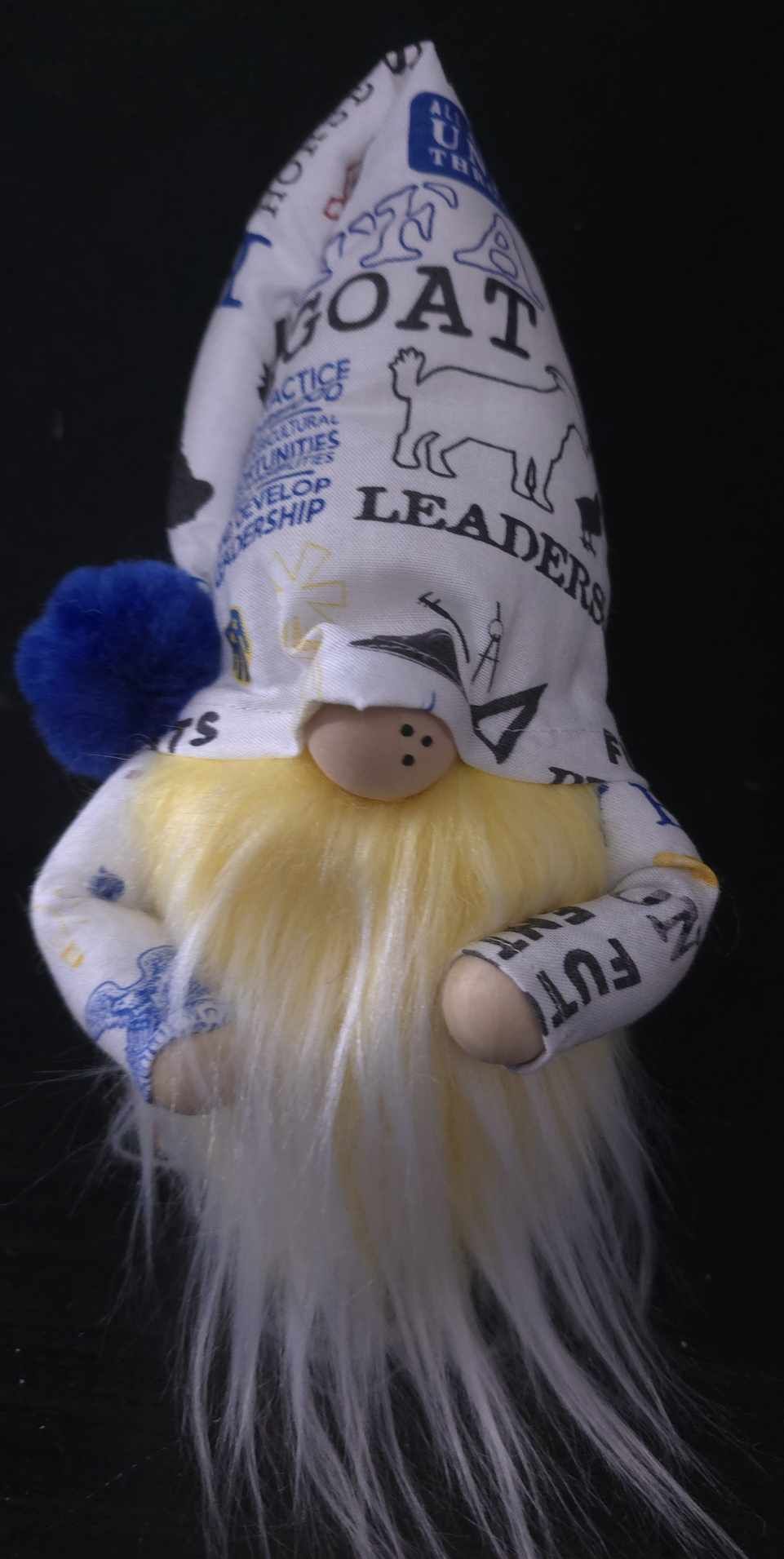 FFA Gnome