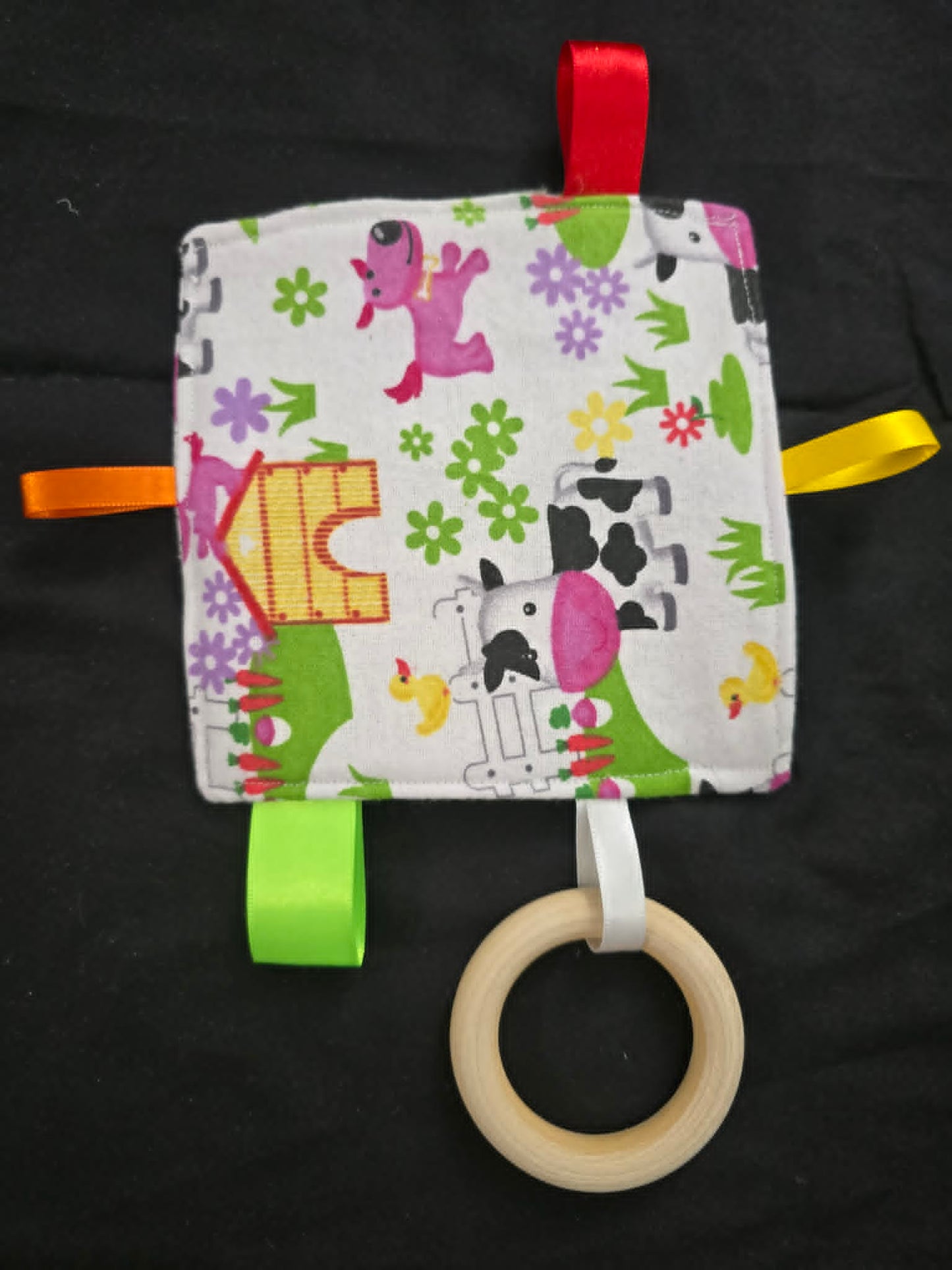 Baby Crinkle Sensory Toy w/Teether