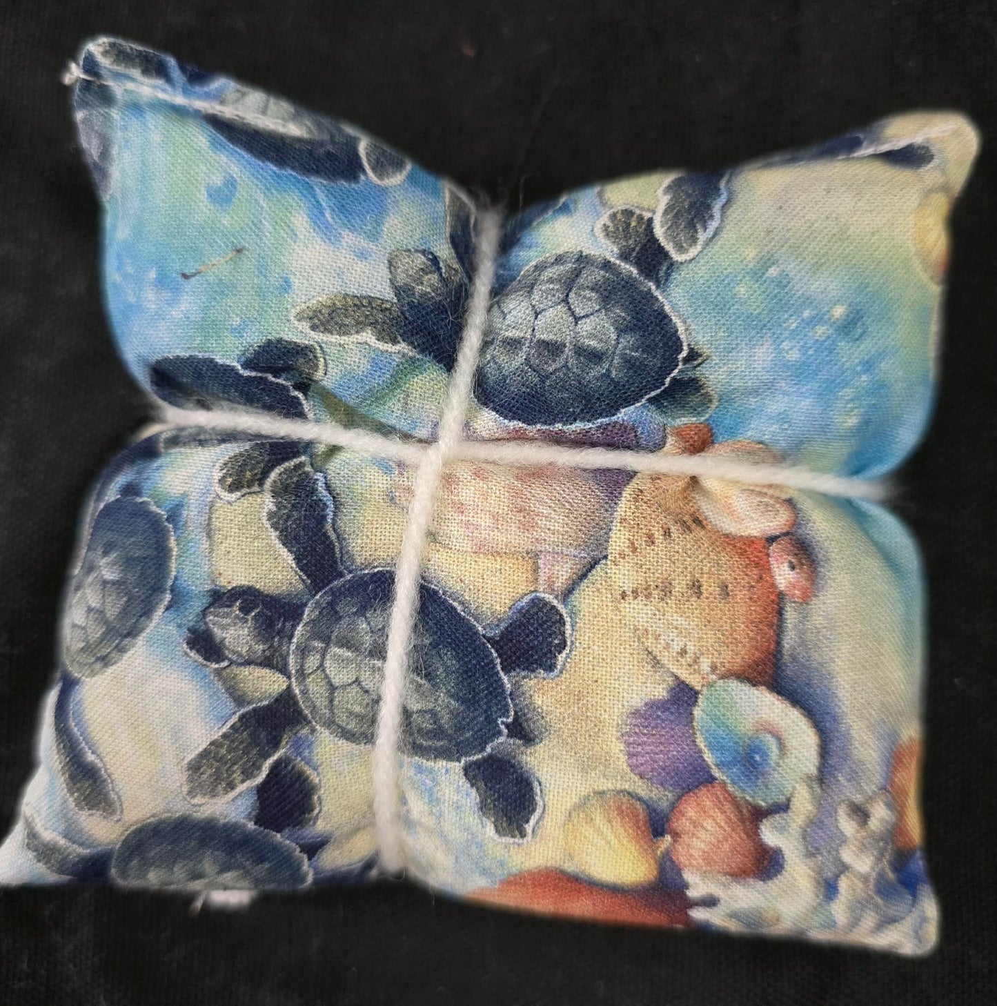 Sea Turtle Boo Boo Bag