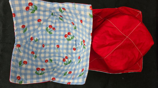 Cherry Blue Gingham Bowl Cozy